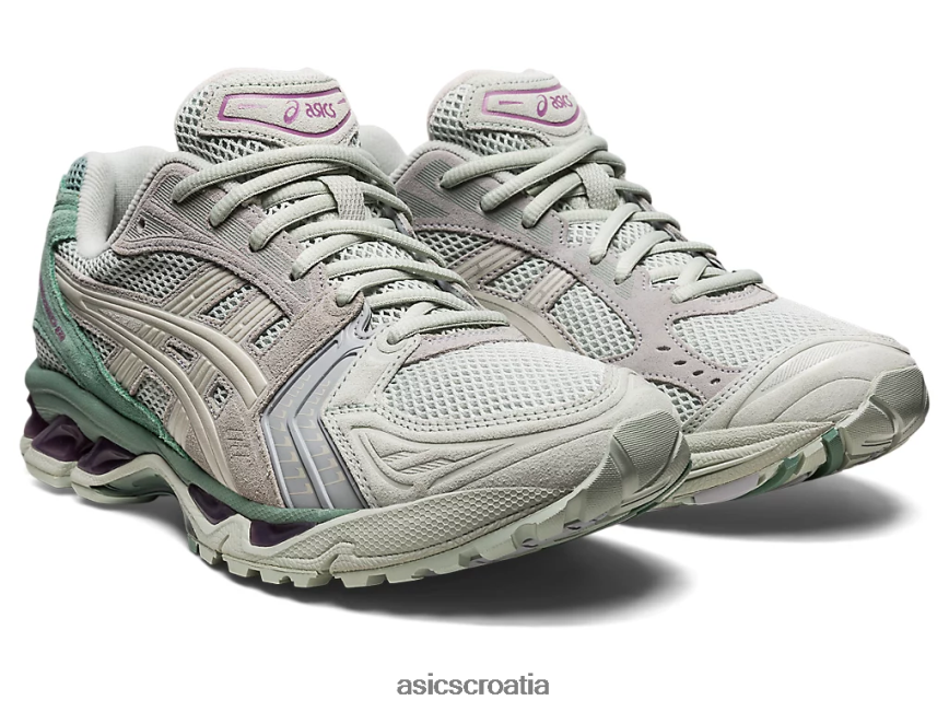 asics hrvatska 6NZ2TF1207 muškarci svijetla kadulja/dim siva