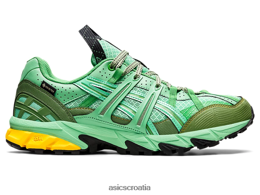 asics hrvatska 6NZ2TF1248 muškarci proljetni buket/plavi grafit