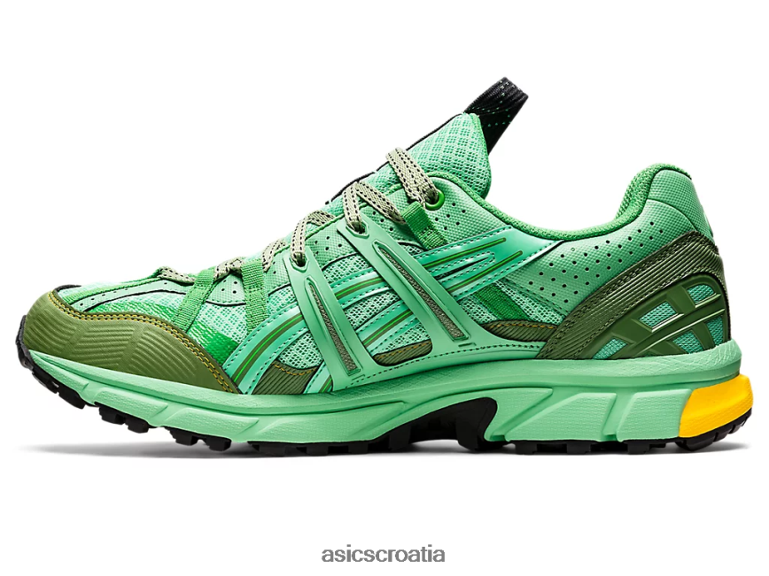 asics hrvatska 6NZ2TF1248 muškarci proljetni buket/plavi grafit