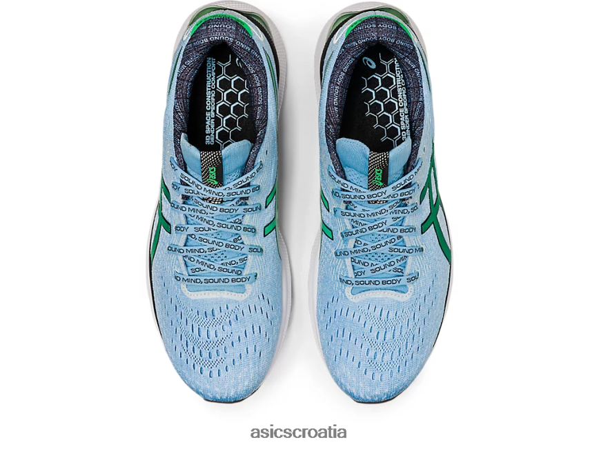 asics hrvatska 6NZ2TF1014 muškarci arktičko nebo/cilantro