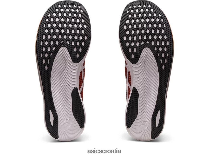 asics hrvatska 6NZ2TF247 muškarci začin latte/bijelo